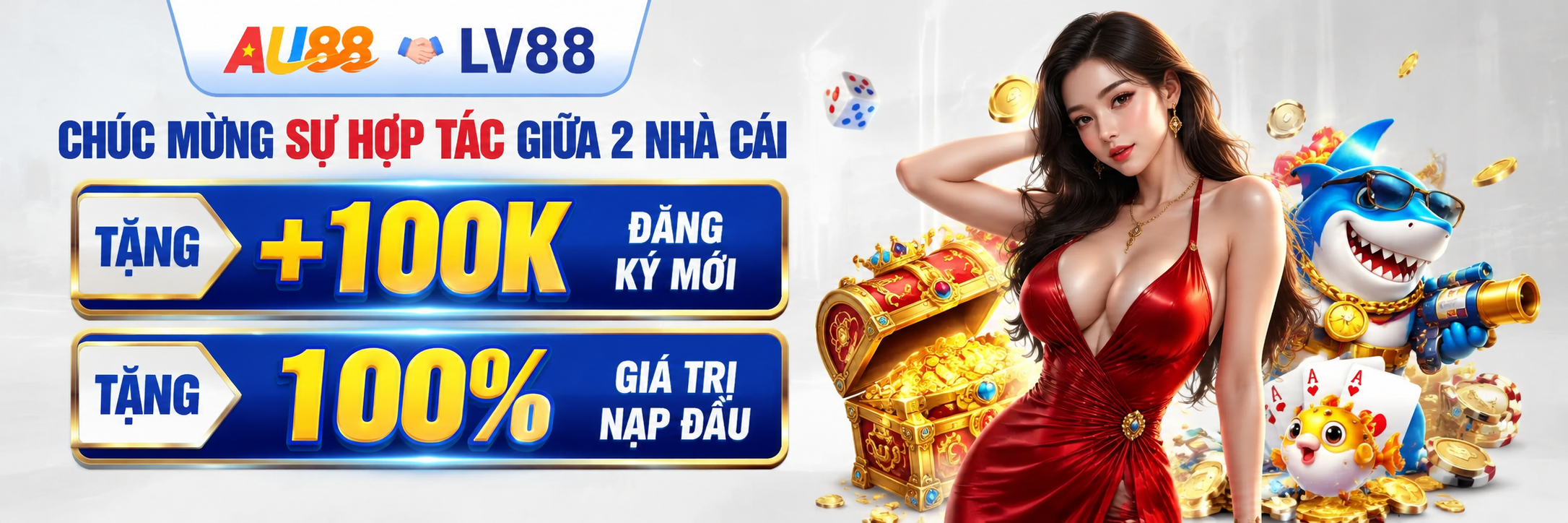 Banner LV88